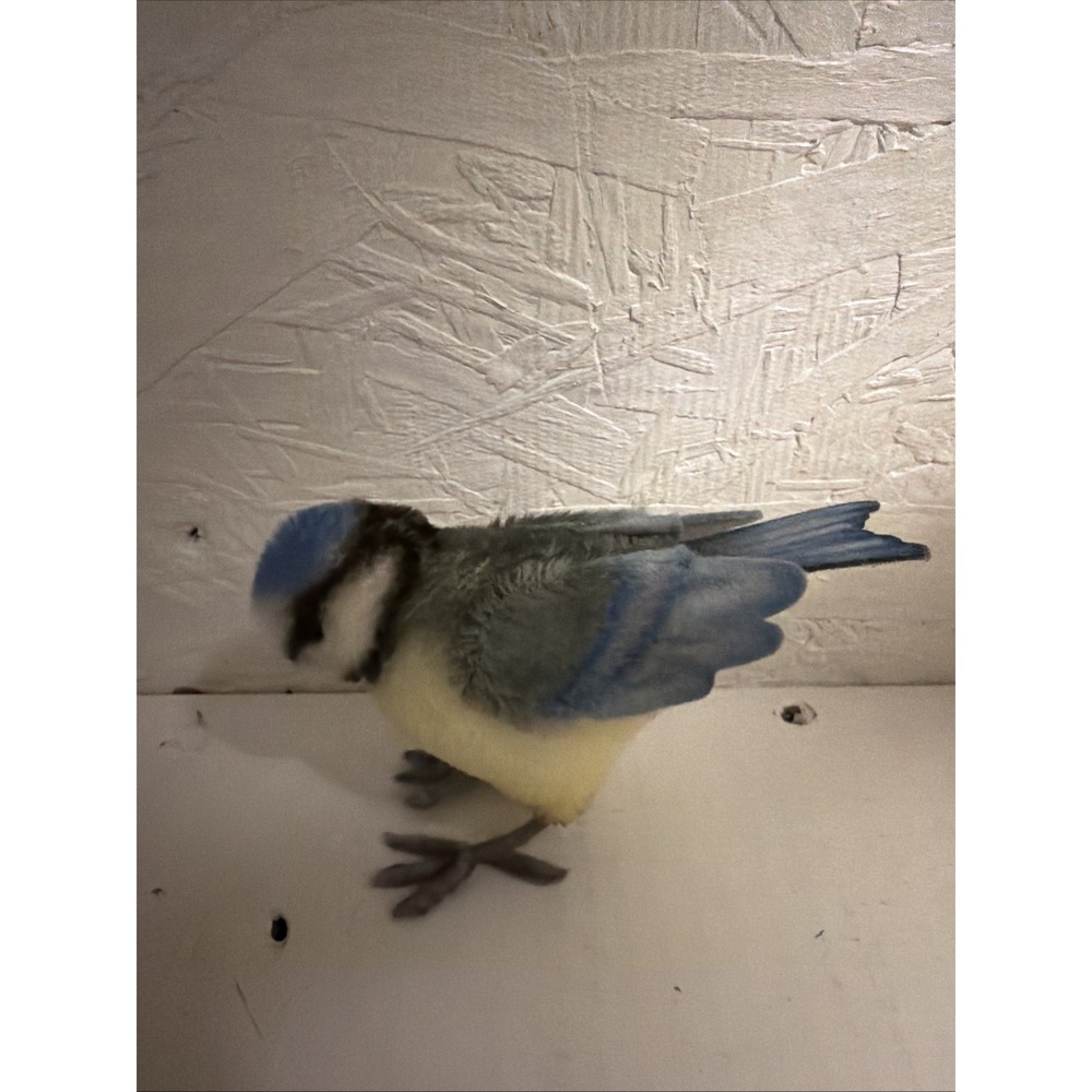 R. John Wright Bird From His Set Heinzel Winter. Eurasian Blue Tit